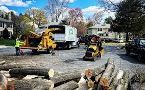 Trusted Lake Barcroft, VA Tree Removal and Landscaping Services Experts